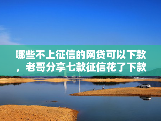 哪些不上征信的网贷可以下款，老哥分享七款征信花了下款的网贷口子