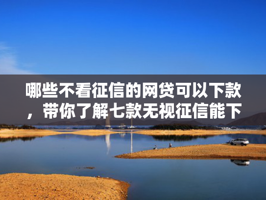 哪些不看征信的网贷可以下款，带你了解七款无视征信能下款的网贷