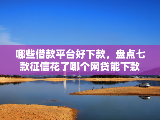 哪些借款平台好下款，盘点七款征信花了哪个网贷能下款