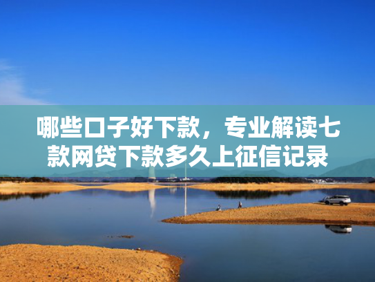 哪些口子好下款，专业解读七款网贷下款多久上征信记录