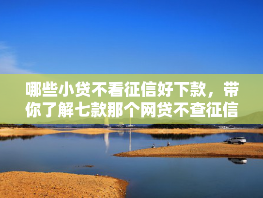 哪些小贷不看征信好下款，带你了解七款那个网贷不查征信下款快