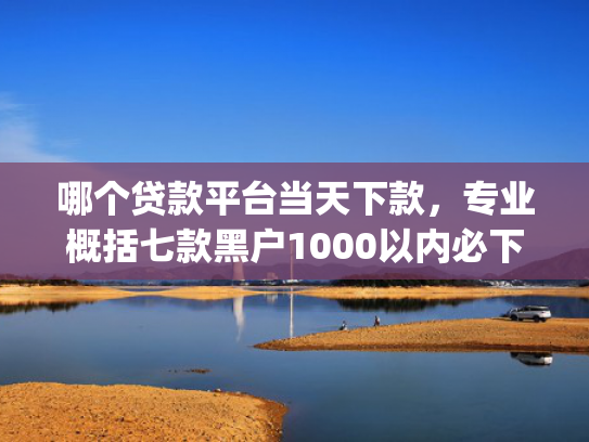哪个贷款平台当天下款，专业概括七款黑户1000以内必下款的app