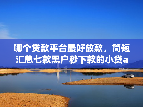 哪个贷款平台最好放款，简短汇总七款黑户秒下款的小贷app