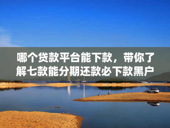 哪个贷款平台能下款，带你了解七款能分期还款必下款黑户app