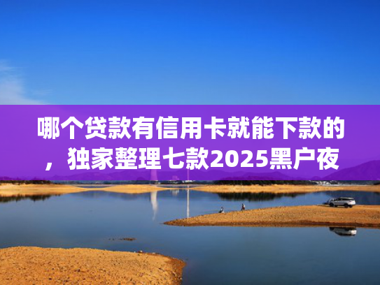 哪个贷款有信用卡就能下款的，独家整理七款2025黑户夜间秒下款的App