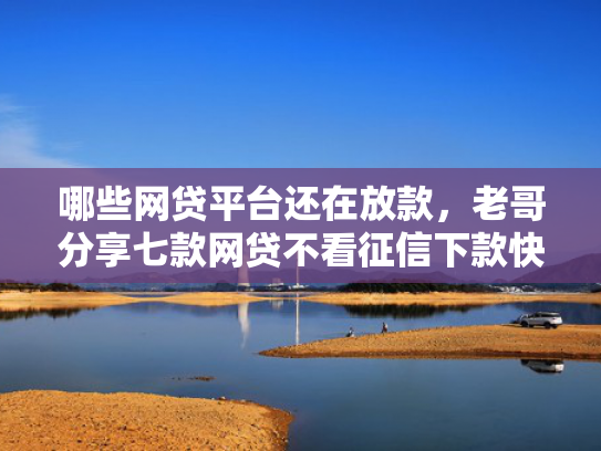 哪些网贷平台还在放款，老哥分享七款网贷不看征信下款快6