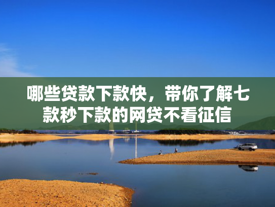 哪些贷款下款快，带你了解七款秒下款的网贷不看征信