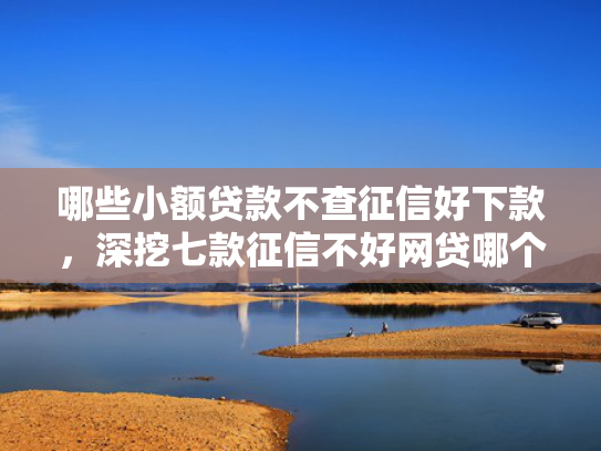 哪些小额贷款不查征信好下款，深挖七款征信不好网贷哪个能下款
