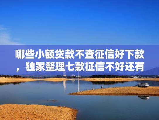 哪些小额贷款不查征信好下款，独家整理七款征信不好还有网贷能下款