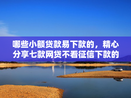 哪些小额贷款易下款的，精心分享七款网贷不看征信下款的软件