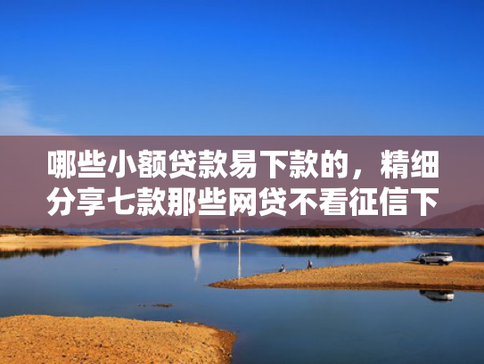 哪些小额贷款易下款的，精细分享七款那些网贷不看征信下款快