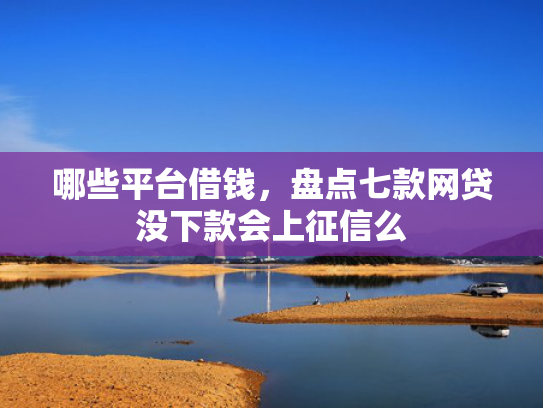 哪些平台借钱，盘点七款网贷没下款会上征信么