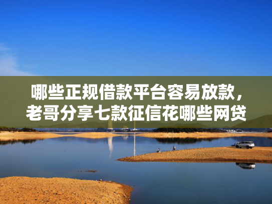 哪些正规借款平台容易放款，老哥分享七款征信花哪些网贷会下款