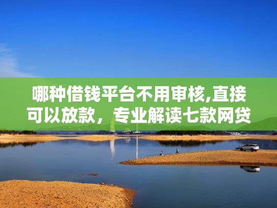 哪种借钱平台不用审核,直接可以放款，专业解读七款网贷和征信黑如何下款