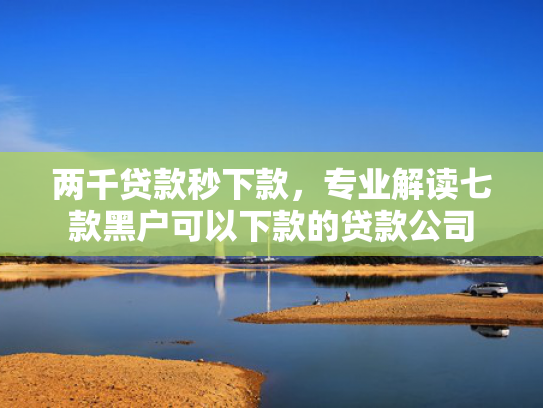 两千贷款秒下款，专业解读七款黑户可以下款的贷款公司