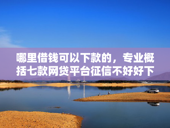 哪里借钱可以下款的，专业概括七款网贷平台征信不好好下款