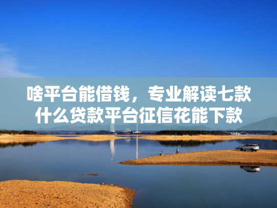 啥平台能借钱，专业解读七款什么贷款平台征信花能下款