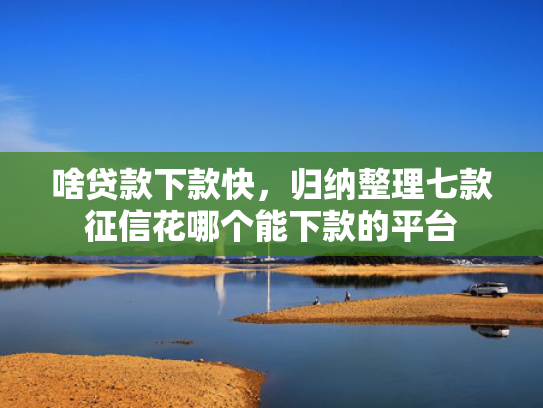 啥贷款下款快，归纳整理七款征信花哪个能下款的平台