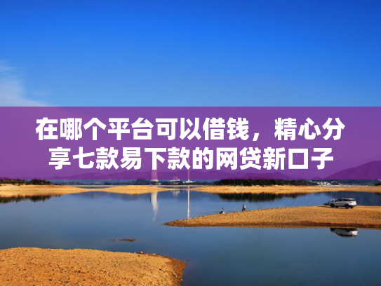 在哪个平台可以借钱，精心分享七款易下款的网贷新口子