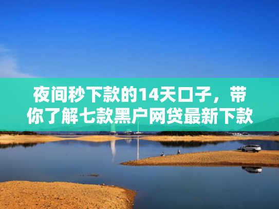 夜间秒下款的14天口子，带你了解七款黑户网贷最新下款口子