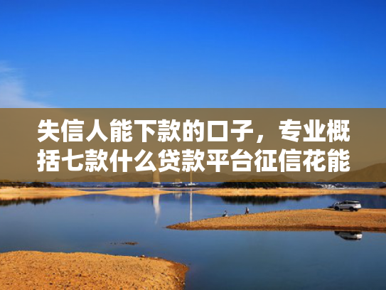 失信人能下款的口子，专业概括七款什么贷款平台征信花能下款