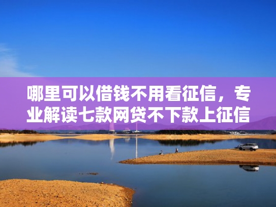 哪里可以借钱不用看征信，专业解读七款网贷不下款上征信吗