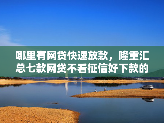 哪里有网贷快速放款，隆重汇总七款网贷不看征信好下款的