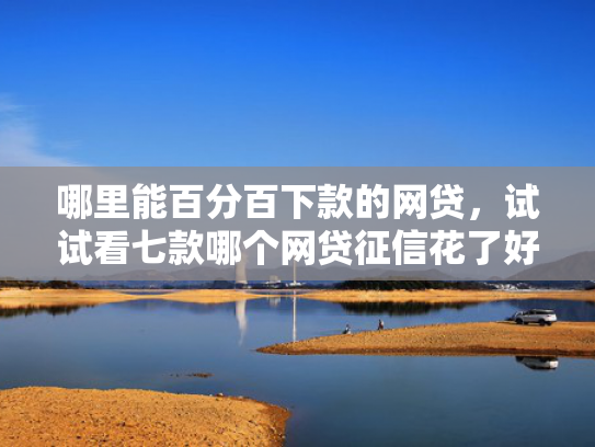 哪里能百分百下款的网贷，试试看七款哪个网贷征信花了好下款