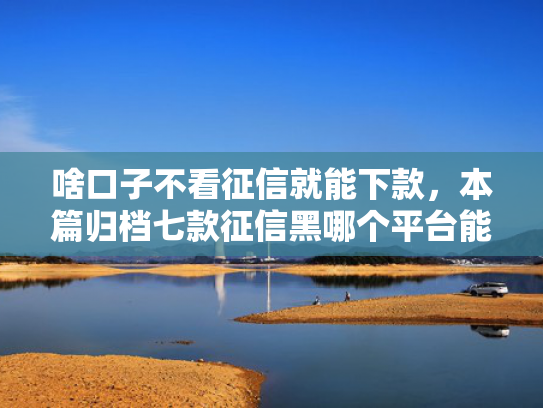 啥口子不看征信就能下款，本篇归档七款征信黑哪个平台能下款呢