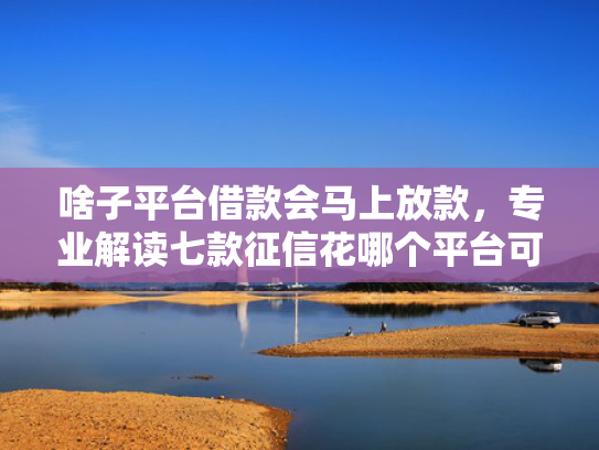 啥子平台借款会马上放款，专业解读七款征信花哪个平台可以下款