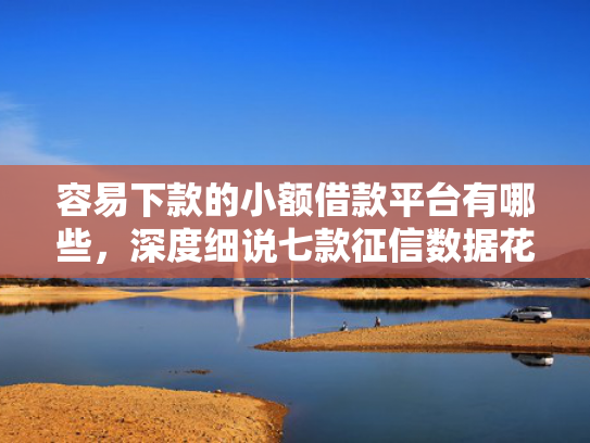 容易下款的小额借款平台有哪些，深度细说七款征信数据花能下款的平台