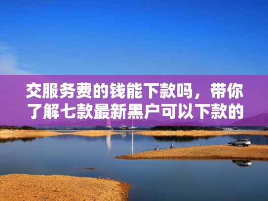 交服务费的钱能下款吗，带你了解七款最新黑户可以下款的网贷