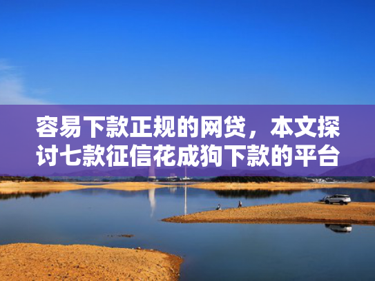 容易下款正规的网贷，本文探讨七款征信花成狗下款的平台