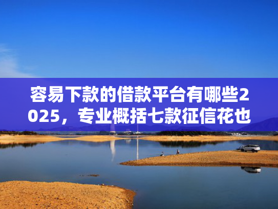 容易下款的借款平台有哪些2025，专业概括七款征信花也能下款平台