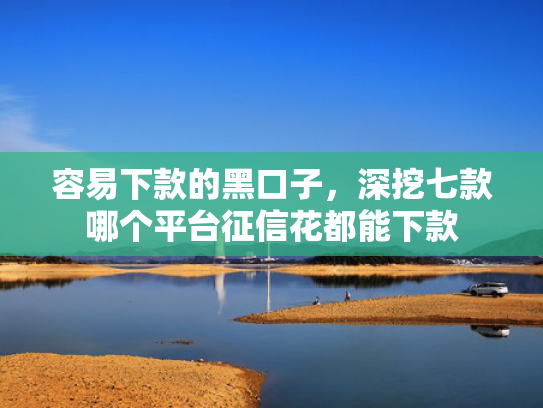 容易下款的黑口子，深挖七款哪个平台征信花都能下款