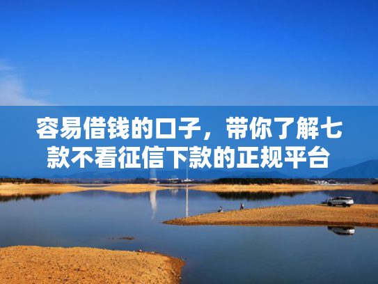 容易借钱的口子，带你了解七款不看征信下款的正规平台