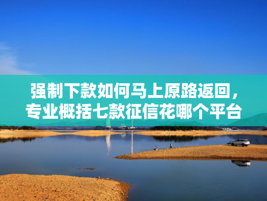 强制下款如何马上原路返回，专业概括七款征信花哪个平台必下款
