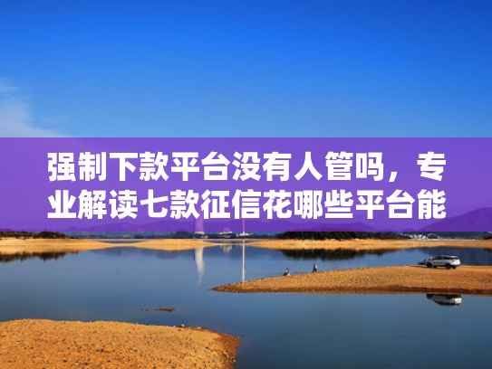 强制下款平台没有人管吗，专业解读七款征信花哪些平台能下款