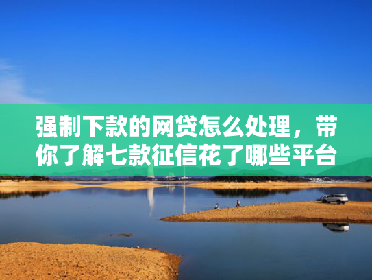 强制下款的网贷怎么处理，带你了解七款征信花了哪些平台能下款