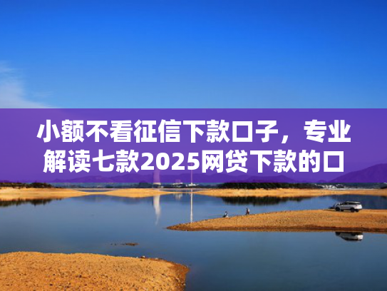 小额不看征信下款口子，专业解读七款2025网贷下款的口子