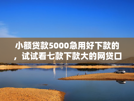 小额贷款5000急用好下款的，试试看七款下款大的网贷口子