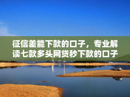 征信差能下款的口子，专业解读七款多头网贷秒下款的口子