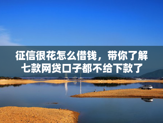 征信很花怎么借钱，带你了解七款网贷口子都不给下款了