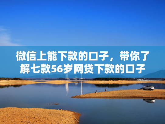 微信上能下款的口子，带你了解七款56岁网贷下款的口子