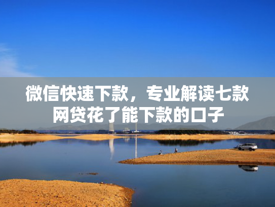 微信快速下款，专业解读七款网贷花了能下款的口子