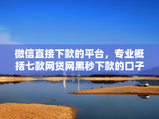 微信直接下款的平台，专业概括七款网贷网黑秒下款的口子