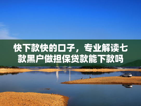 快下款快的口子，专业解读七款黑户做担保贷款能下款吗