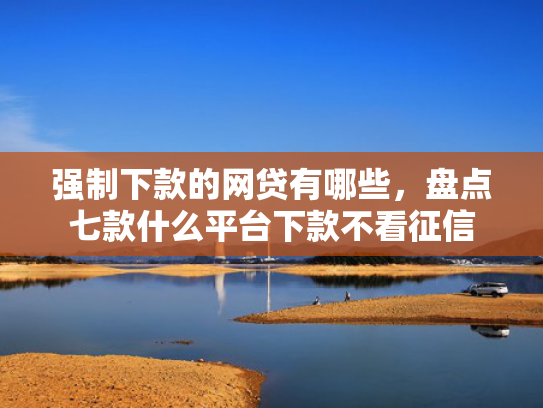 强制下款的网贷有哪些，盘点七款什么平台下款不看征信