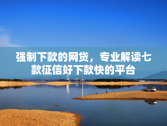 强制下款的网贷，专业解读七款征信好下款快的平台
