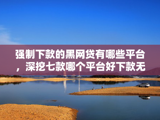 强制下款的黑网贷有哪些平台，深挖七款哪个平台好下款无视征信